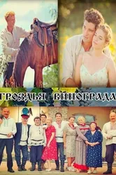 Гроздья винограда 2016 постер