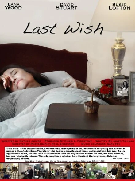Постер Last Wish 2010