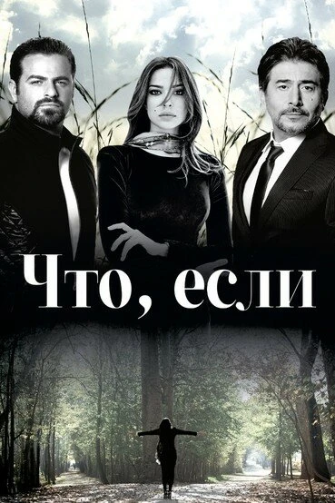 Постер Что, если 2014