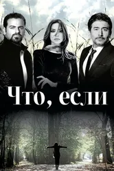 Что, если 2014 постер