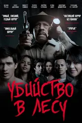 Убийство в лесу 2017 постер