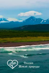 Сказки живой природы 2020 постер