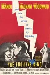 Из породы беглецов 1960 постер