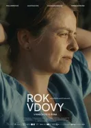 Year of the Widow постер