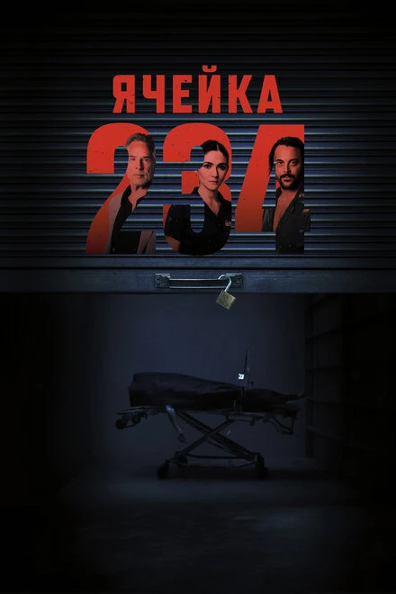 Постер Ячейка 234 2024