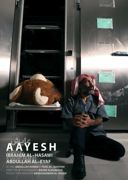 Постер Aayesh