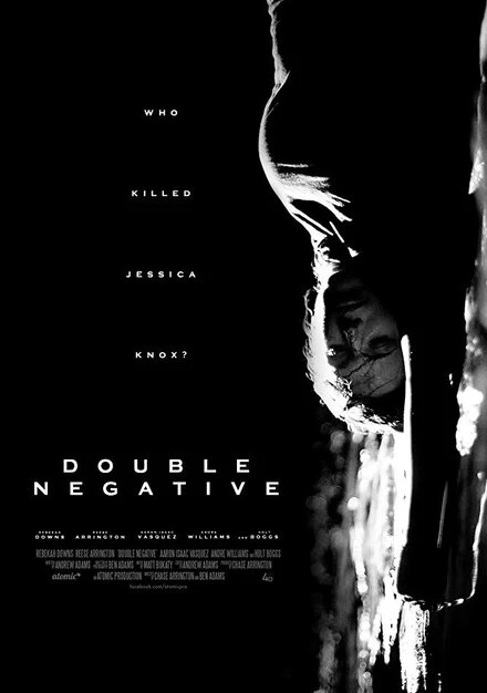 Постер Double Negative 2017