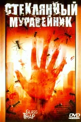 Стеклянный муравейник 2005 постер