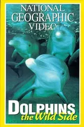 Dolphins: The Wild Side постер