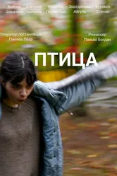 Птица 2024 постер