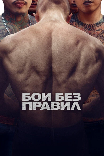 Постер Бои без правил 2017