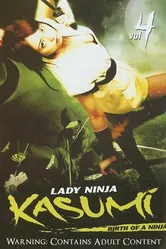 Женщина-ниндзя Касуми 4: Рождение ниндзя 2007 постер