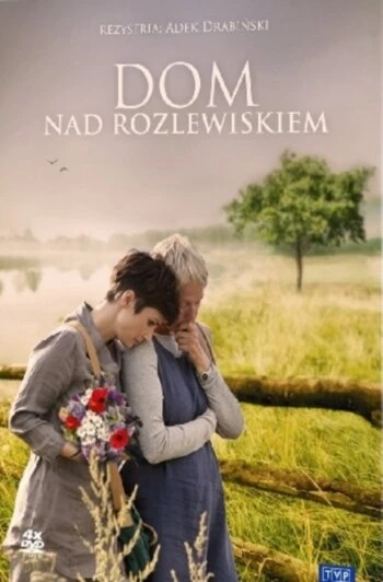 Постер Дом у озера 2009