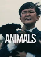Animals постер