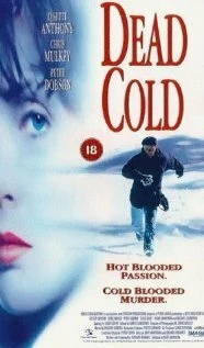 Постер Смертельный холод 1995