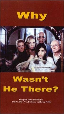 Постер Почему он не здесь? 1993