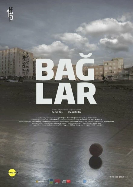 Постер Baglar