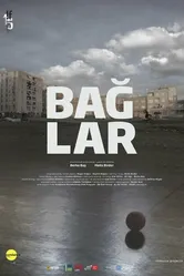 Baglar постер