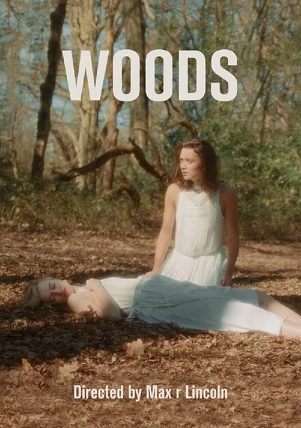 Постер Woods 2016