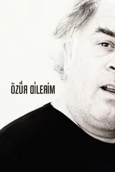 Özür Dilerim постер