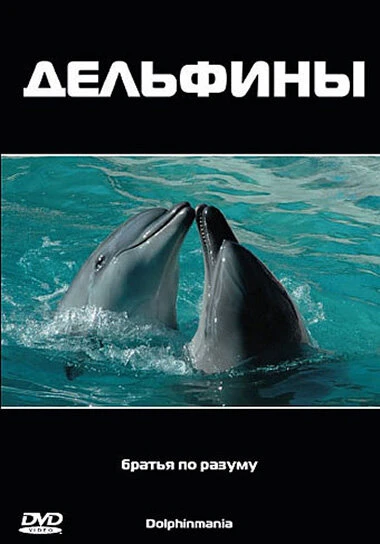 Постер Дельфины 2003