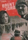 Постер Выжженная земля 1969
