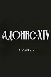 Адонис XIV 1977 постер