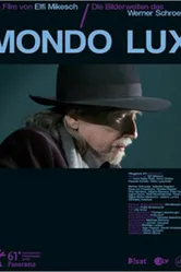 Образы Вернера Шретера 2011 постер