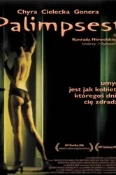 Палимпсест 2006 постер
