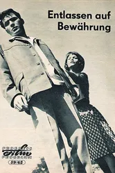 Отпущен на поруки 1965 постер