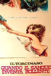 Кляп — когда закипает кровь 1975 постер