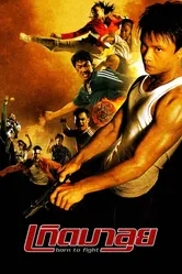 Рожденный сражаться 2004 постер