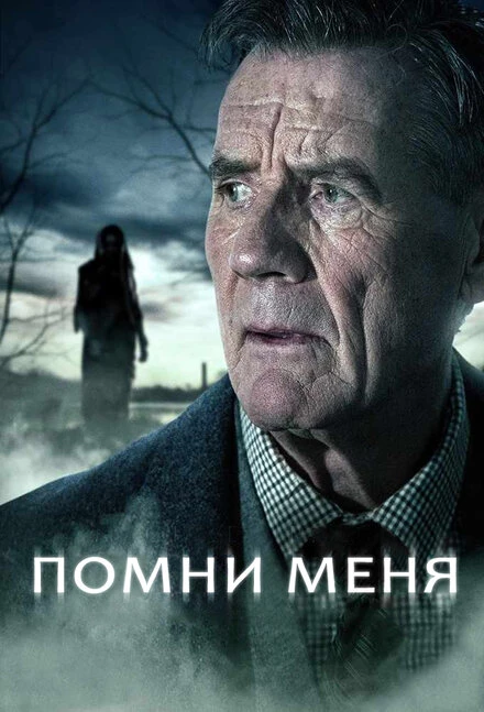 Постер Помни меня 2014