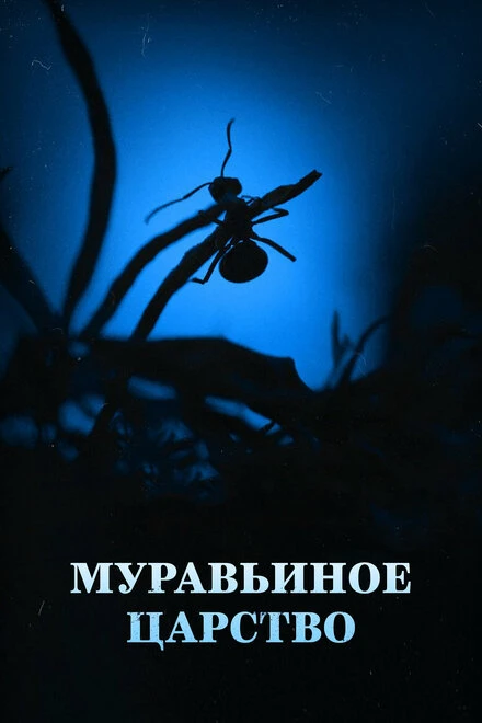 Постер Муравьиное царство 2022
