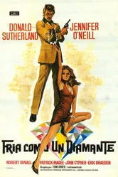 Дамочка при бриллиантах 1973 постер