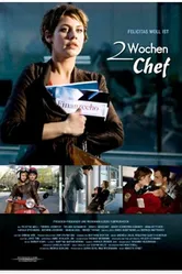 Две недели шефства 2007 постер