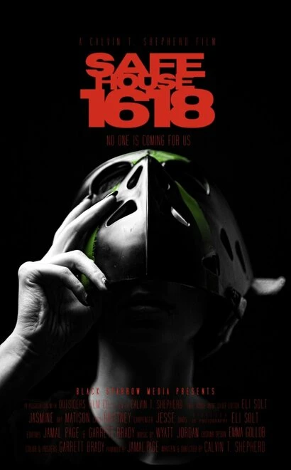 Постер Safe House 1618