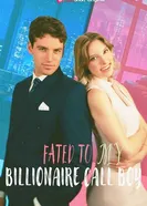 Миллиардер по вызову 2024 постер