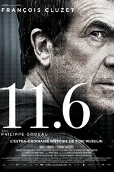11.6 2013 постер