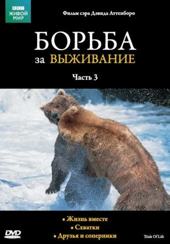 Постер BBC: Борьба за выживание 1990