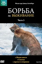 BBC: Борьба за выживание 1990 постер