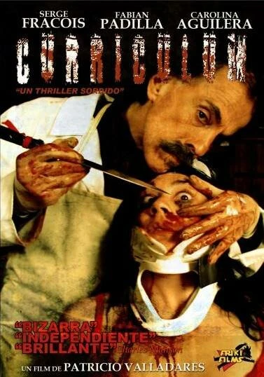 Постер Curriculum