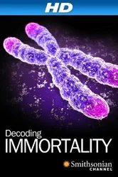 Immortal 2010 постер
