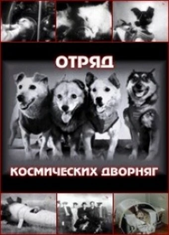 Постер Отряд космических дворняг 2004
