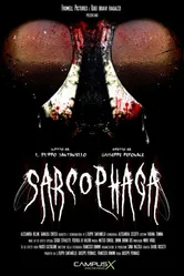 Саркофаг 2013 постер