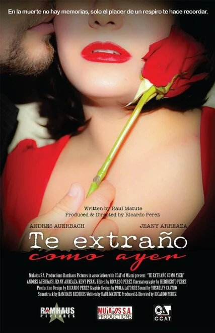 Постер Te extraño como ayer