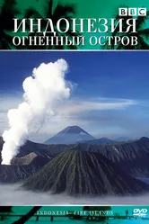Индонезия: Огненный остров 1996 постер