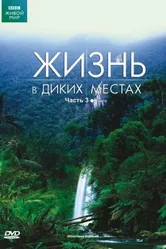 BBC: Жизнь в диких местах 2008 постер