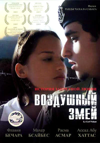 Постер Воздушный змей 2003