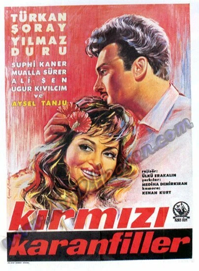 Постер Kirmizi karanfiller